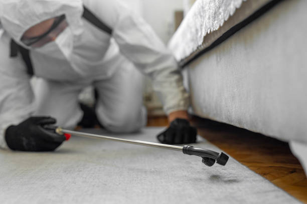 Professional Termite Control technician working in Windham, OH