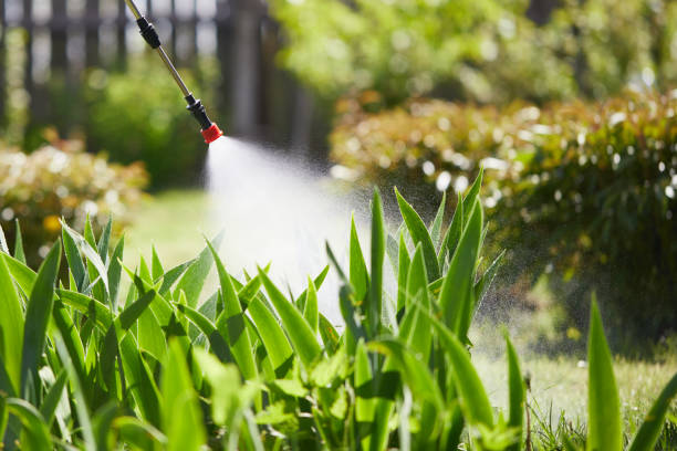 24/7 Emergency Termite Control experts in Windham, OH
